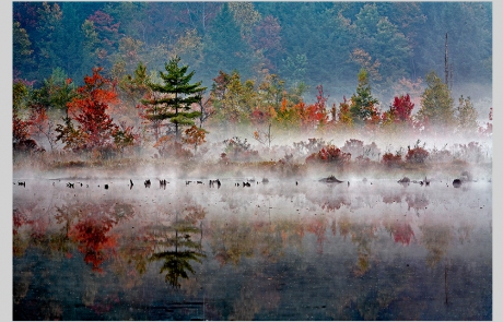 Hank Gans - Gabriel Lake Fall Colors